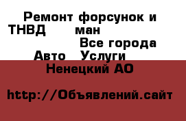 Ремонт форсунок и ТНВД Man (ман) TGA, TGL, TGS, TGM, TGX - Все города Авто » Услуги   . Ненецкий АО